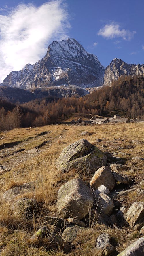 çim, dağ, dikey atış içeren Ücretsiz stok fotoğraf
