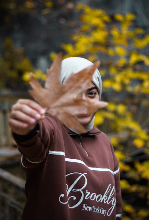 Fotobanka s bezplatnými fotkami na tému držanie, hidžáb, javorový list