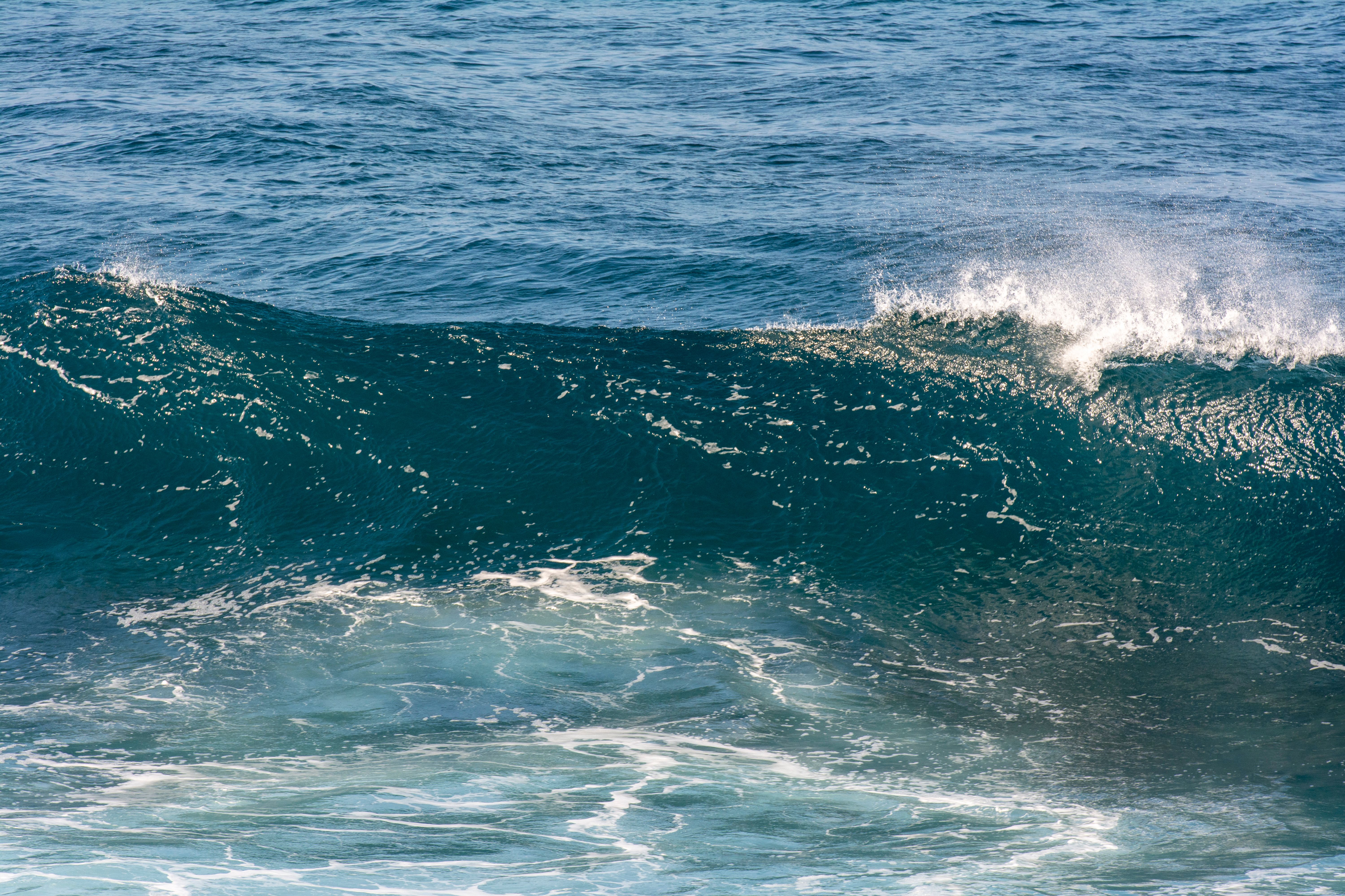 Big Wave Photos, Download The BEST Free Big Wave Stock Photos & HD Images
