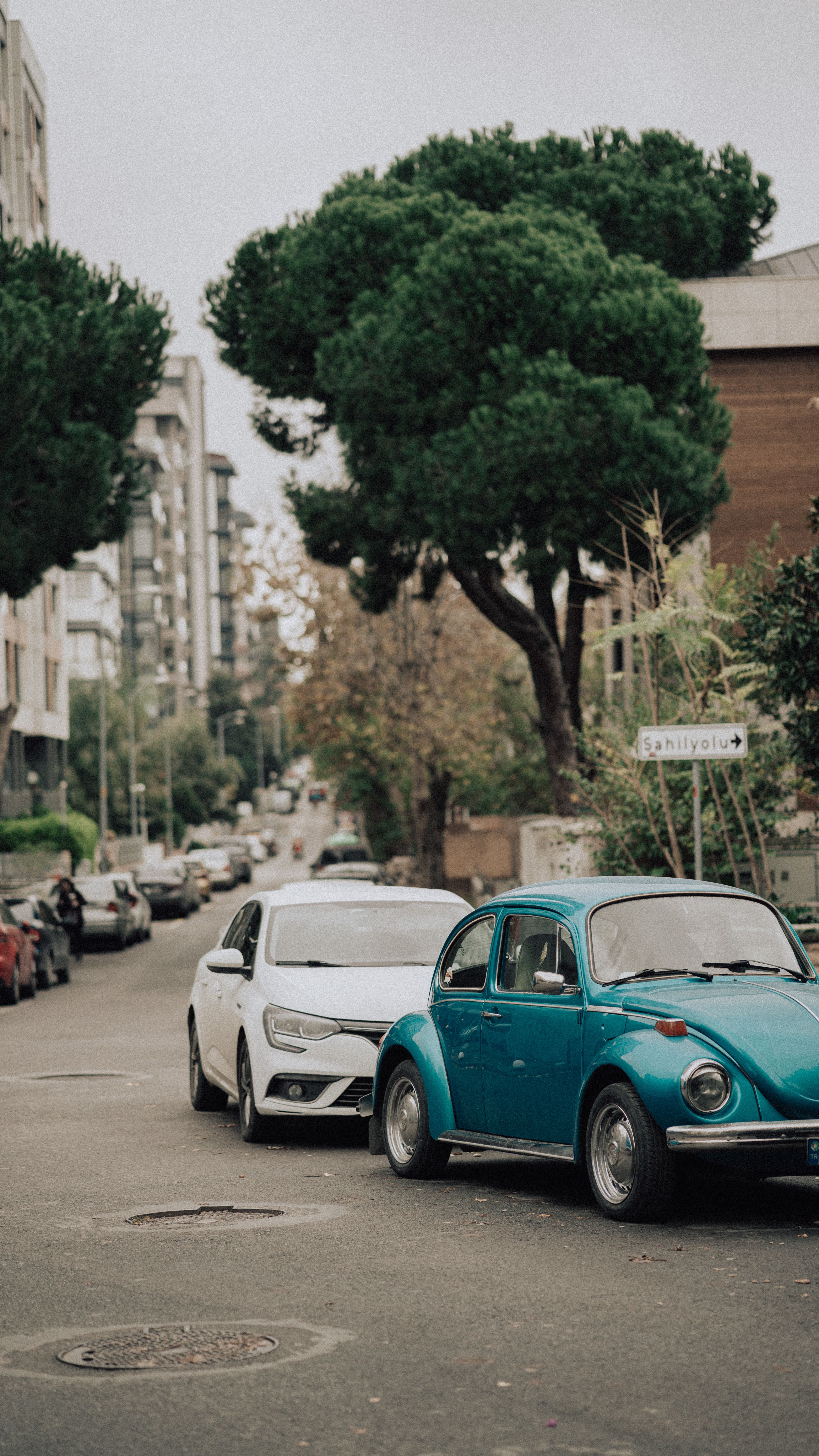 License by Categories: Complete Classification by Vehicle Type and Success Case
