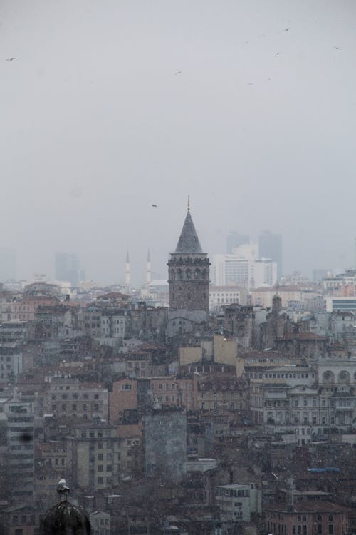 Imagine de stoc gratuită din curcan, fotografiere verticală, Istanbul