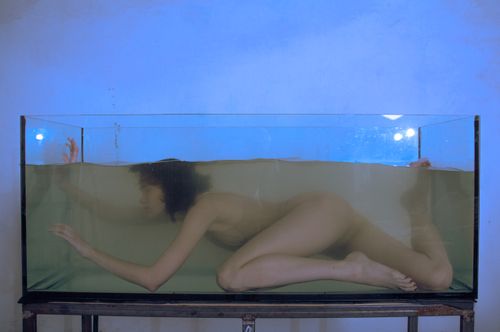 Free Creative underwater photography featuring a woman in a tank with a blue backdrop. Stock Photo