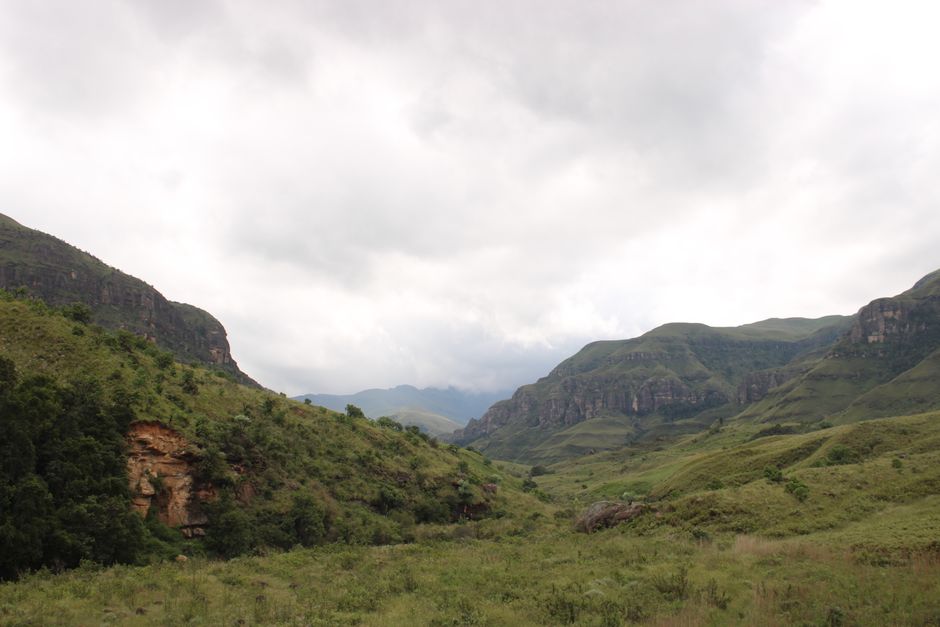 Outstanding Cape Town Full Day Wine Expedition Tour Review: An Unforgettable Journey Through South Africa's Premier Wine Country Review 2026 - Majestic Drakensberg mountain landscape under a cloudy sky, showcasing lush greenery.