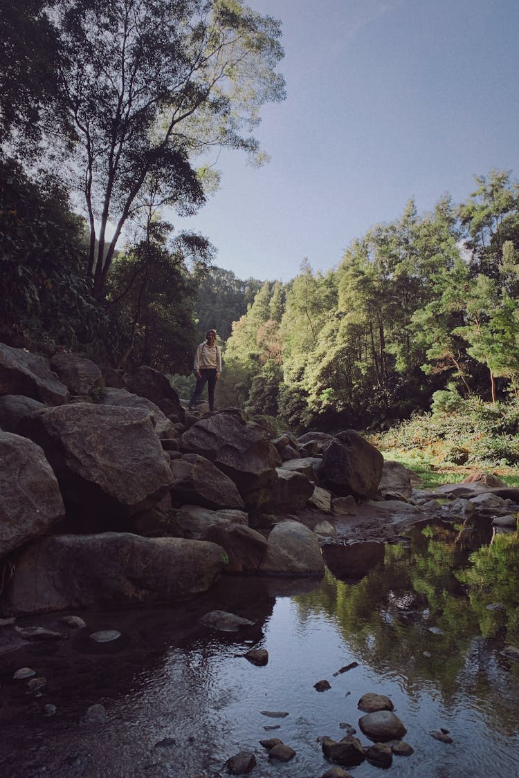 Tourist In Wilderness