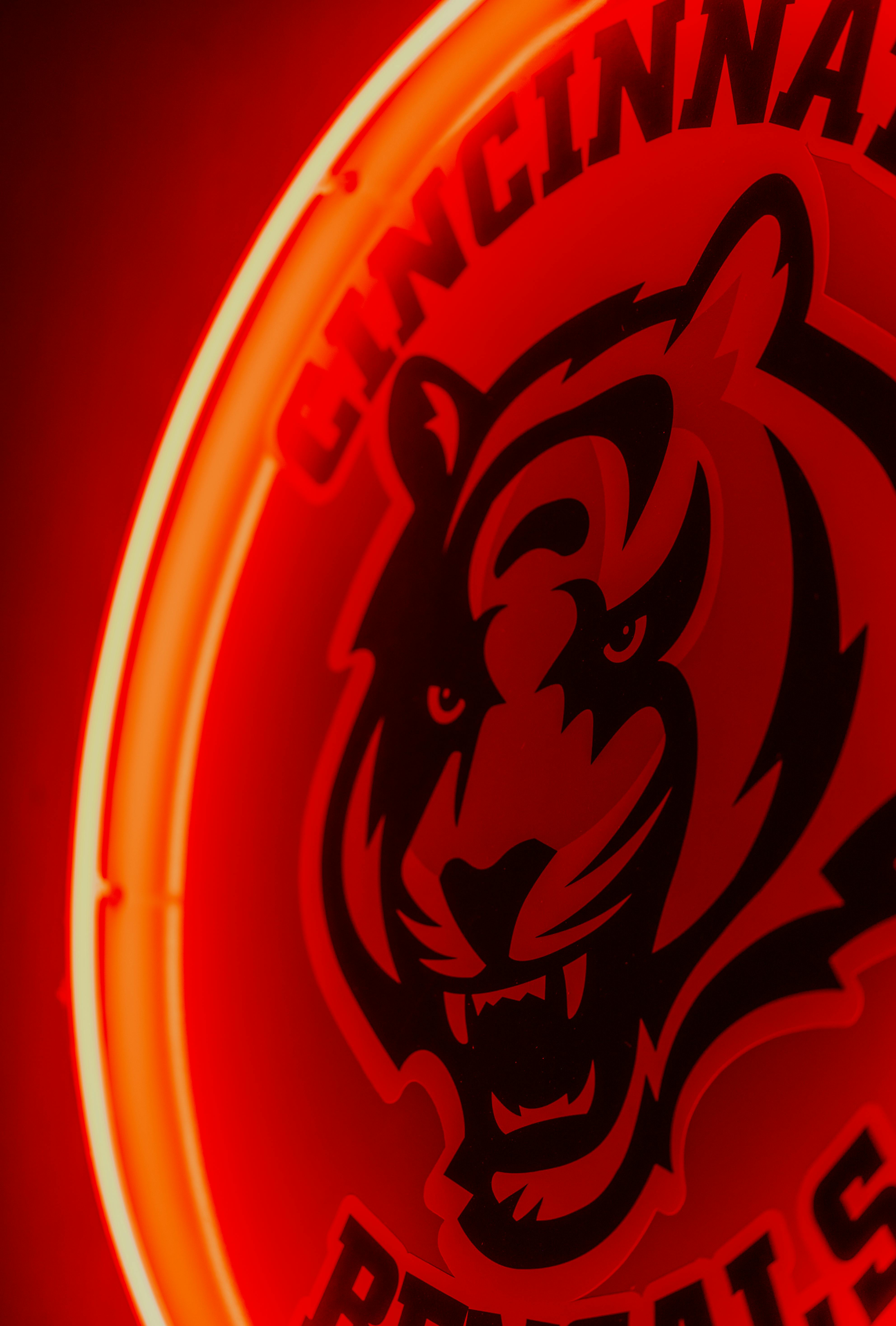 HD wallpaper: graphic design, Cincinnati, OH, Cincinnati Bengals