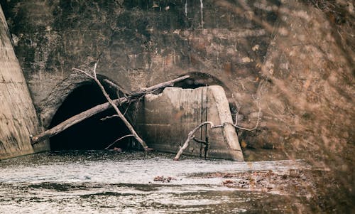 Gratis stockfoto met beton, bomen, brug