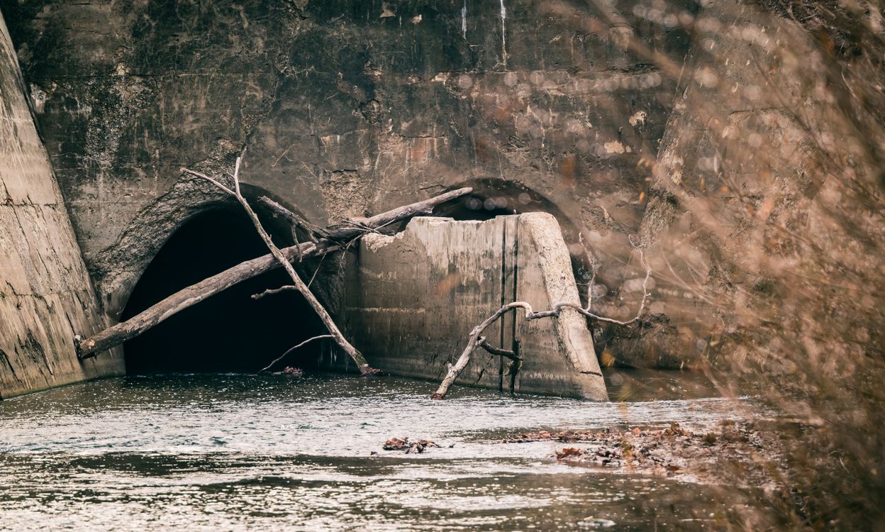 Tunnel under Bridge Blocked by Trees · Free Stock Photo