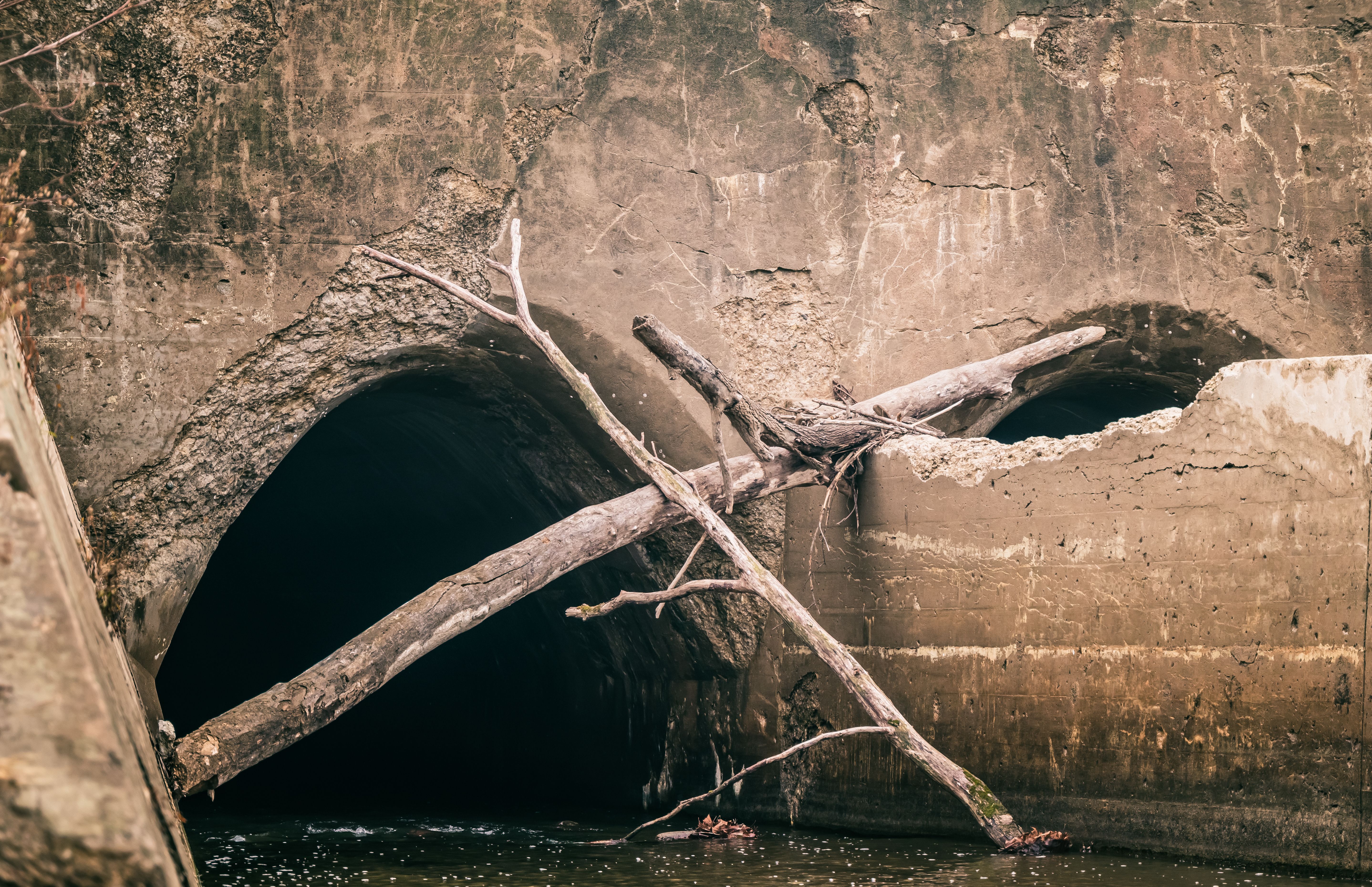 A rustic sewer entrance with fallen tree branches and water flow, creating an urban decay vibe.