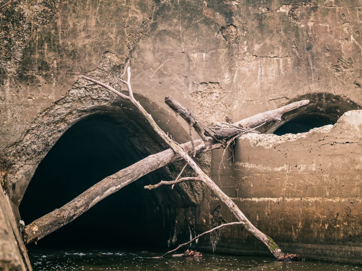 A sewer pipe opening with fallen tree branches and water flowing out