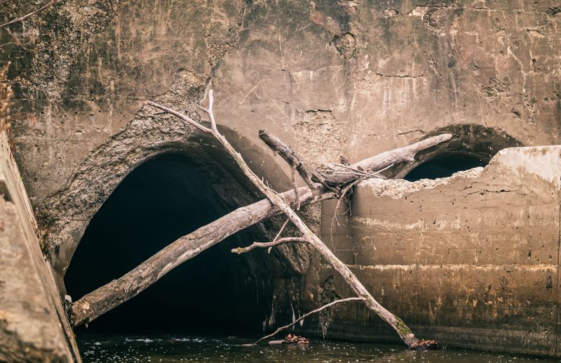 Entrada de drenaje obstruida con ramas y raíces