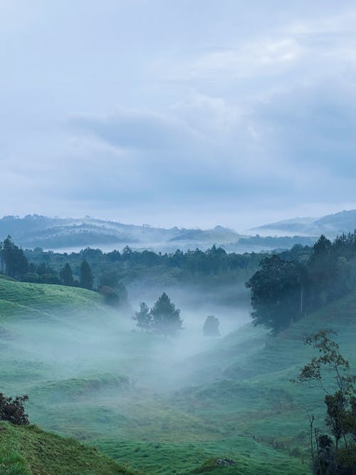 Thick Fog Rolling through Hills