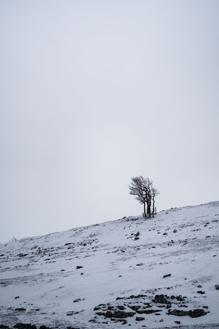 Photo by Hugo Sykes on pexels