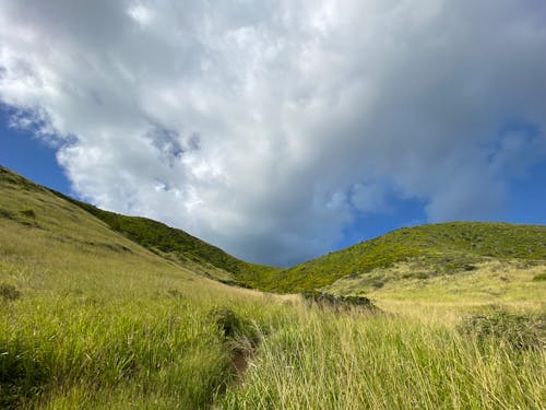 Foto profissional grátis de céu nublado, colinas, grama verde