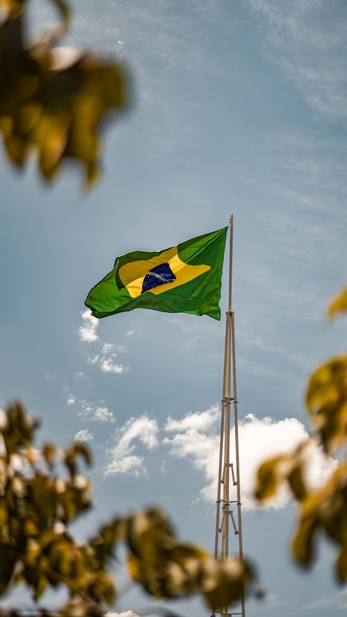 Free Low-angle shot of Brazilian flag waving on flagpole against clear sky. Stock Photo