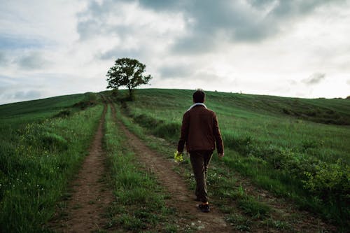 A Man on Green Grass Field