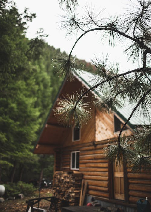 Free stock photo of after rain, bokeh, cabin