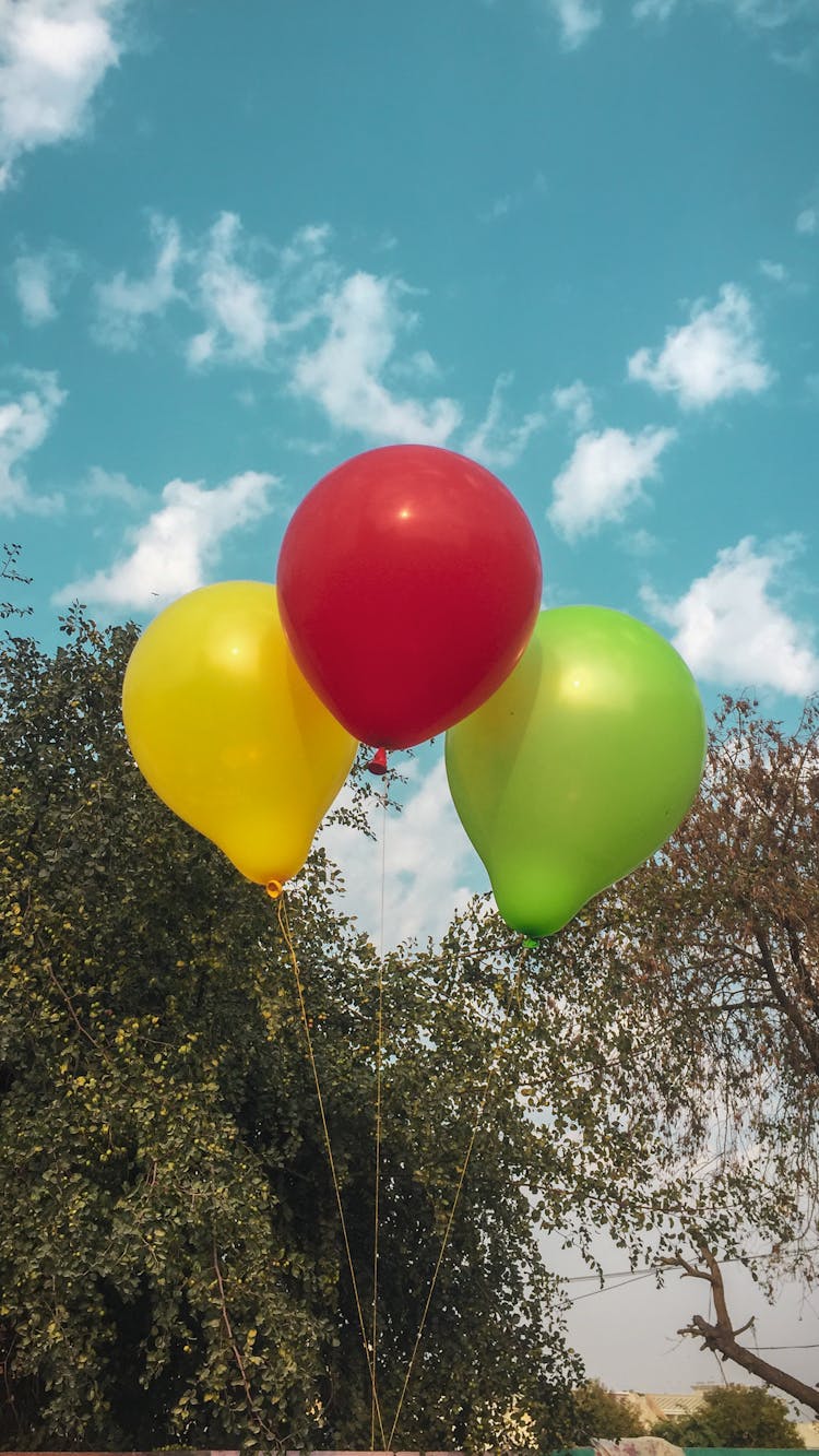 Colorful Balloons Under Blue Sky