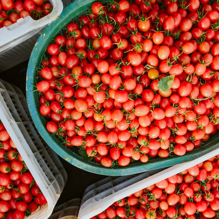 Red Tomatoes In Plastic Crates