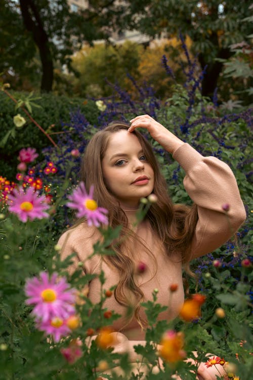 Gratis stockfoto met bloeiende bloemen, blond haar, chrysanten