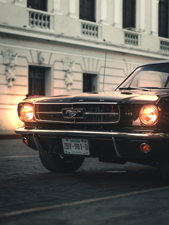 Ford Mustang on the Road · Free Stock Photo