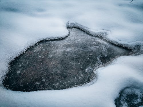 Ilmainen kuvapankkikuva tunnisteilla flunssa, jää, jäätynyt