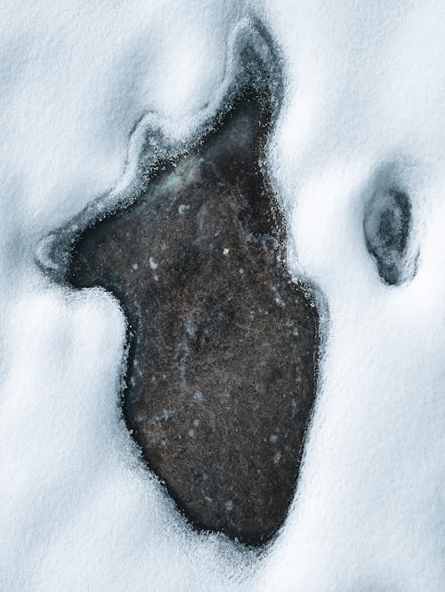 Snowy Landscape with Frozen Body of Water