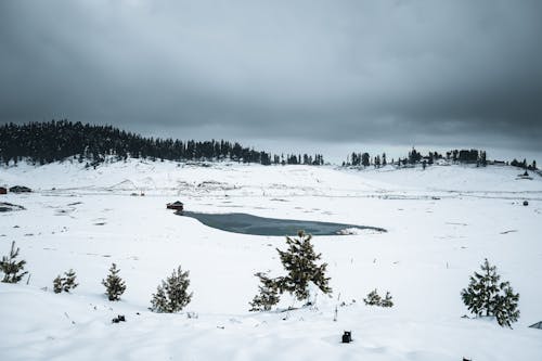 免费 冬季, 多雲的天空, 大雪覆盖的地面 的 免费素材图片 素材图片