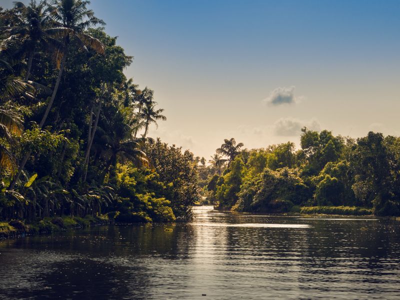 Tropical river in Kerala forest