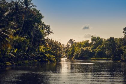 Wayanad