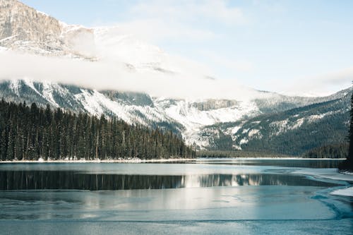冬季, 冷, 加拿大 的 免费素材图片