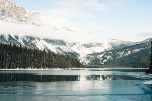 A Lake Near the Green Trees on a Snow Covered Mountain