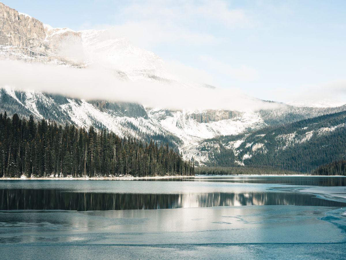 4 Day Wild Side Wellness Retreat for Women in Whistler, Canada 3