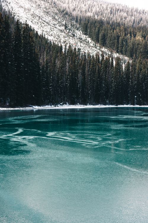Free Scenic winter view of a frozen lake surrounded by a dense forest in Field, BC, Canada. Stock Photo