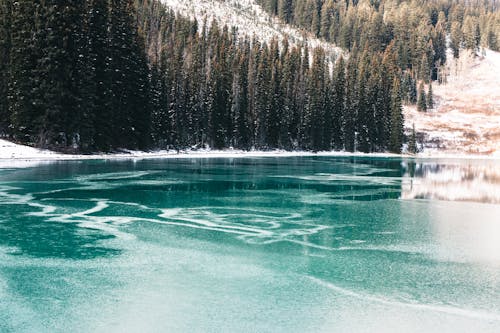 冬季, 冷, 加拿大 的 免費圖庫相片