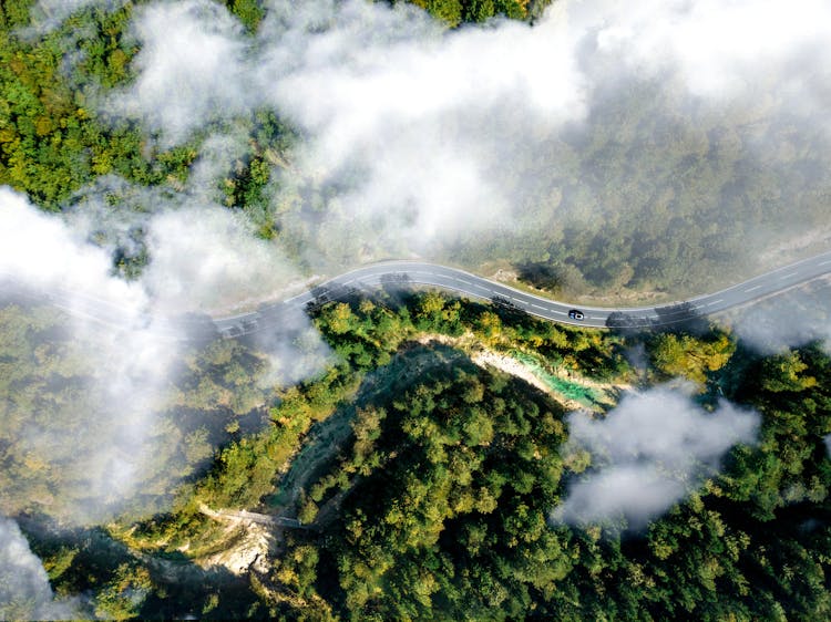 Bird's Eye View Of Winding Road