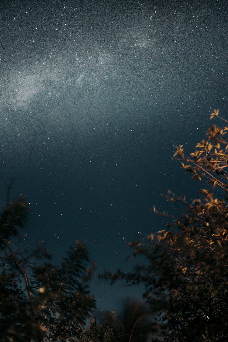 Star Field And Milky Way In Night Sky