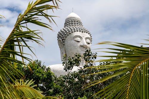 Buddha Statue Under the Blue Sky