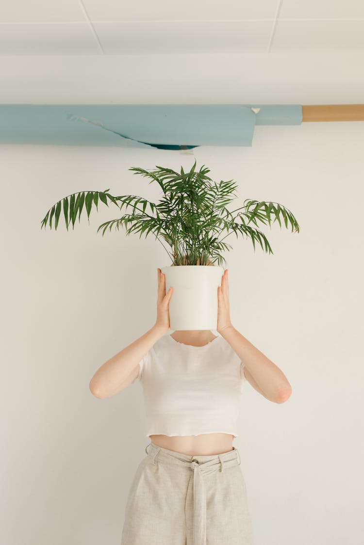 Woman Holding Flowerpot With Plant Over Head