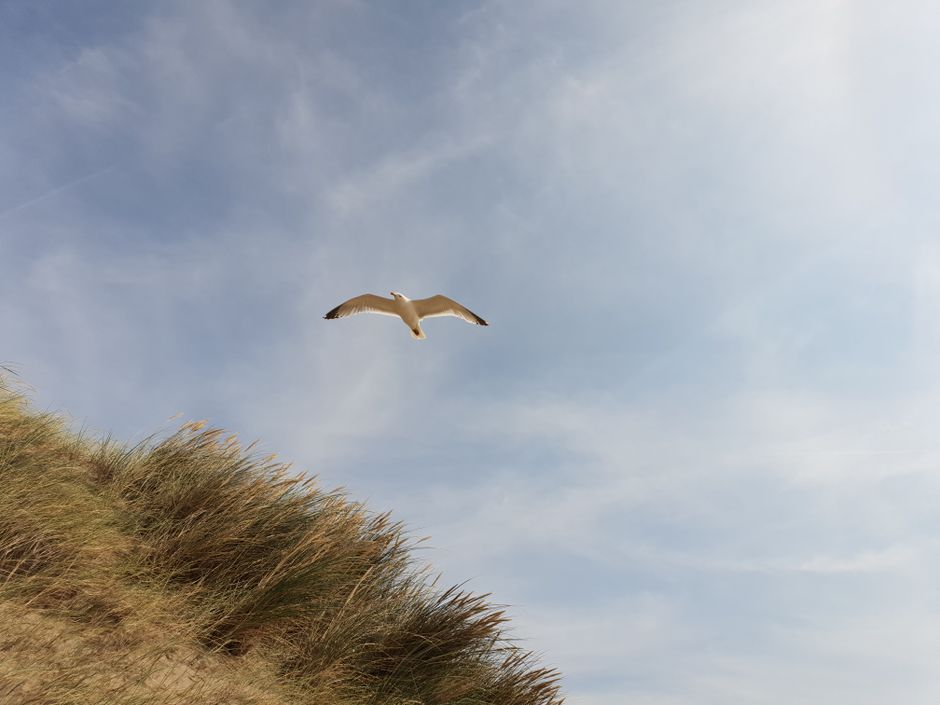 Kenfig NNR — view 3