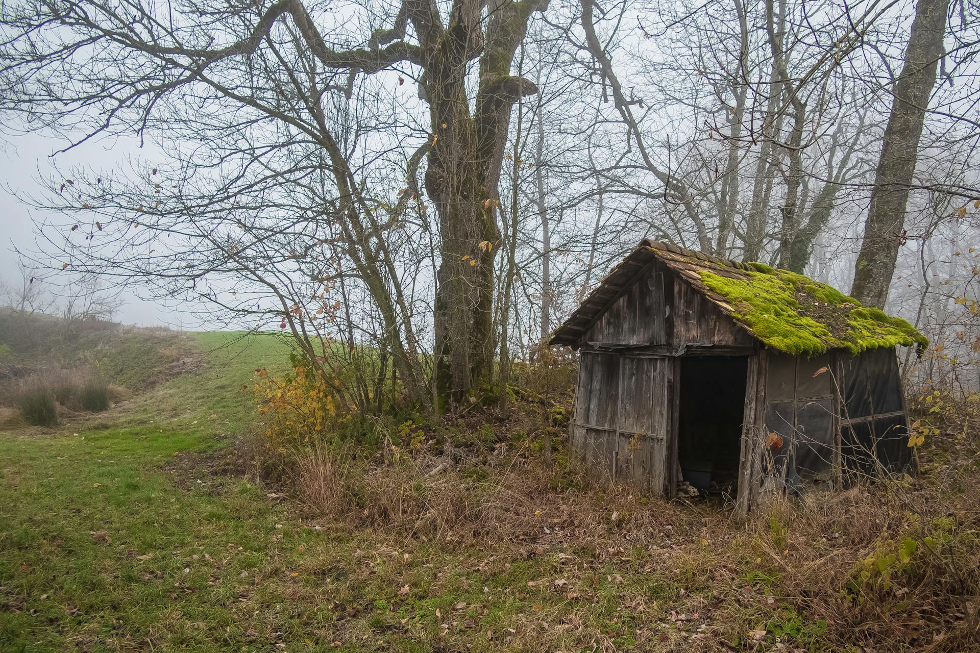 Old Wooden Shed on a Field