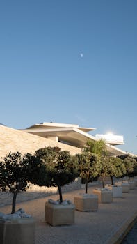 Image by Daria Voronkov