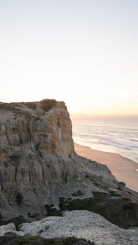 Image by Daria Voronkov