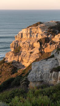 Image by Daria Voronkov