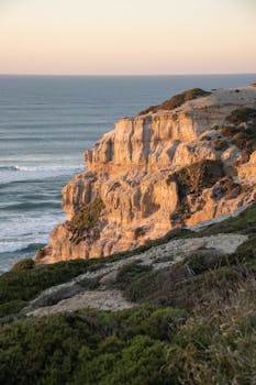 Image by Daria Voronkov