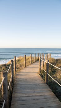 Image by Daria Voronkov