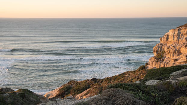 Image by Daria Voronkov