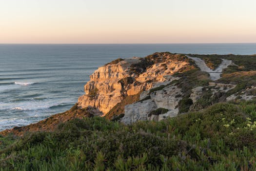 Image by Daria Voronkov