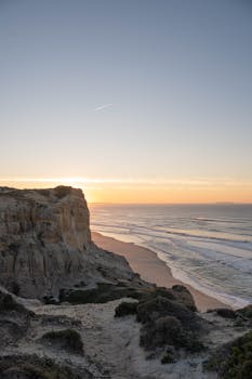 Image by Daria Voronkov