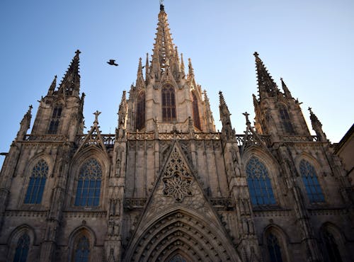 Ảnh lưu trữ miễn phí về barcelona, góc chụp thấp, gothic