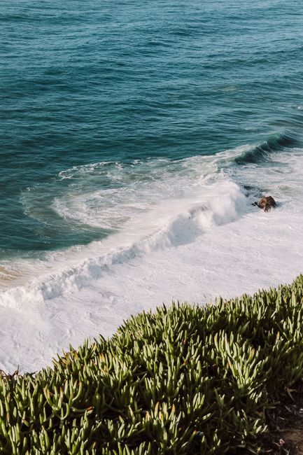 Aerial view of ocean waves crashing on a rocky beach shoreline with vibrant greenery.
